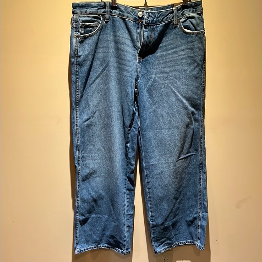 NWT Pacsun Casey low rise baggy wide leg jeans 31 short